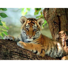 Cross stitch pattern: #2063251