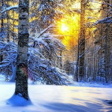 Cross stitch pattern: #2064483