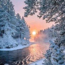 Cross stitch pattern: #2064655