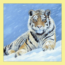 Cross stitch pattern: #2065001