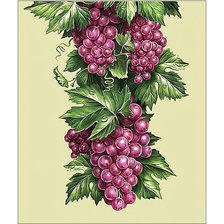 Cross stitch pattern: #2065006