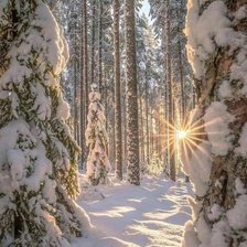 Cross stitch pattern: #2065067