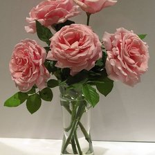 Cross stitch pattern: #2065150