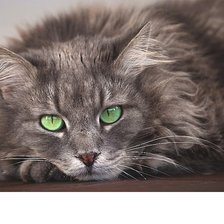 Cross stitch pattern: #2065298