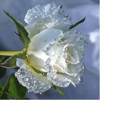 Cross stitch pattern: #2067963