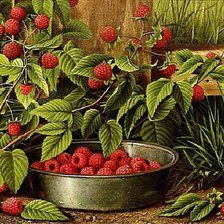 Cross stitch pattern: #2068089