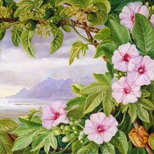 Cross stitch pattern: #2068110