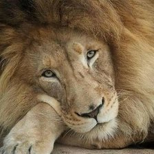 Cross stitch pattern: #2068448