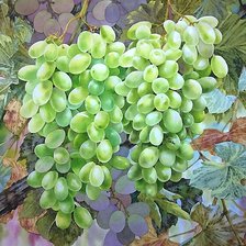 Cross stitch pattern: #2068678