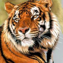 Cross stitch pattern: #2068979