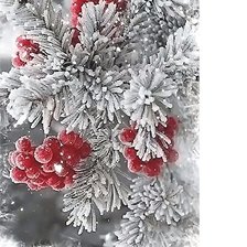 Cross stitch pattern: #2069112