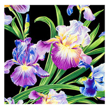 Cross stitch pattern: #2069368