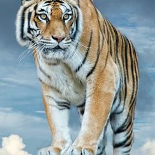 Cross stitch pattern: #2070734