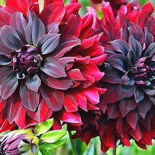 Cross stitch pattern: #2071227