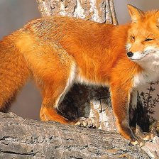 Cross stitch pattern: #2071369