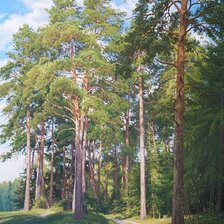 Cross stitch pattern: #2072154