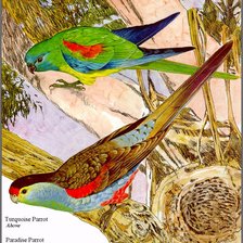 Cross stitch pattern: #2072370