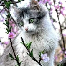 Cross stitch pattern: #2072820