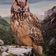 Cross stitch pattern: #2073559