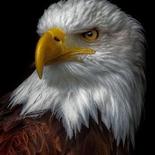 Cross stitch pattern: #2073613