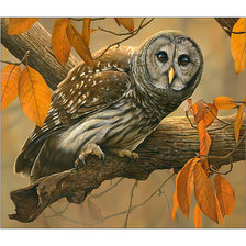 Cross stitch pattern: #2074066