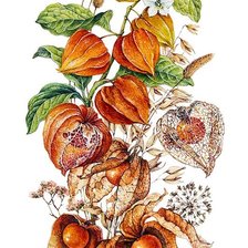 Cross stitch pattern: #2074460