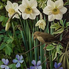 Cross stitch pattern: #2076067