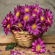 Cross stitch pattern: #2076359