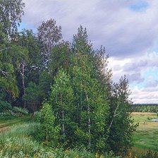 Cross stitch pattern: #2076854