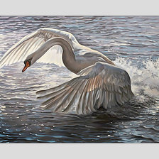 Cross stitch pattern: #2076910