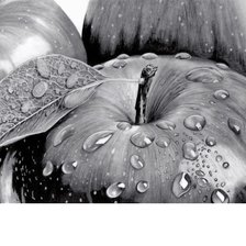 Cross stitch pattern: #2077353