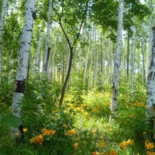 Cross stitch pattern: #2077600