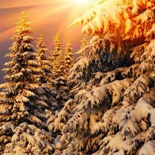 Cross stitch pattern: #2078148