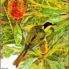 Cross stitch pattern: #2078218