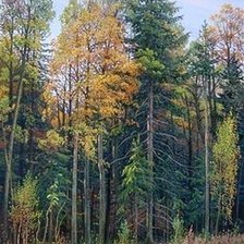 Cross stitch pattern: #2078598