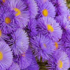 Cross stitch pattern: #2078843