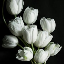 Cross stitch pattern: #2078855