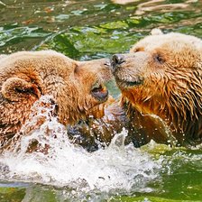 Cross stitch pattern: #2079072