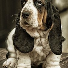 Cross stitch pattern: #2079194