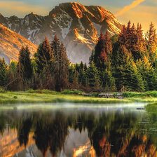 Cross stitch pattern: #2079768