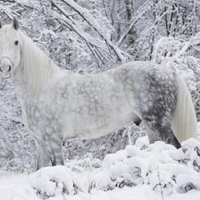 Cross stitch pattern: #2080526