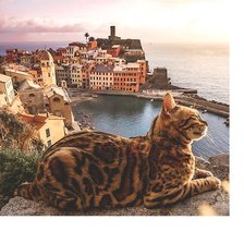 Cross stitch pattern: #2080546