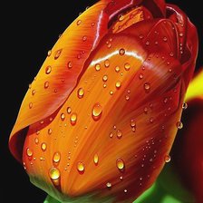 Cross stitch pattern: #2080565