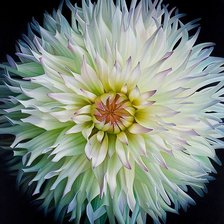 Cross stitch pattern: #2082066