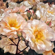 Cross stitch pattern: #2083007