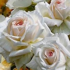 Cross stitch pattern: #2084717