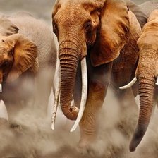 Cross stitch pattern: #2084804