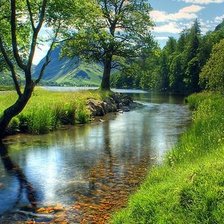 Cross stitch pattern: #2085954