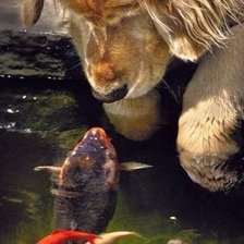 Cross stitch pattern: #2087500