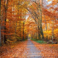 Cross stitch pattern: #2088232